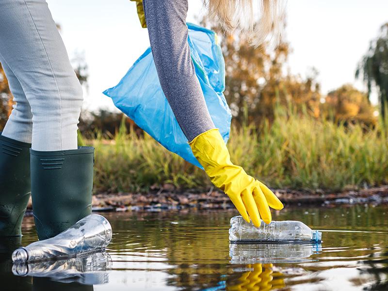 cleaning the tisza